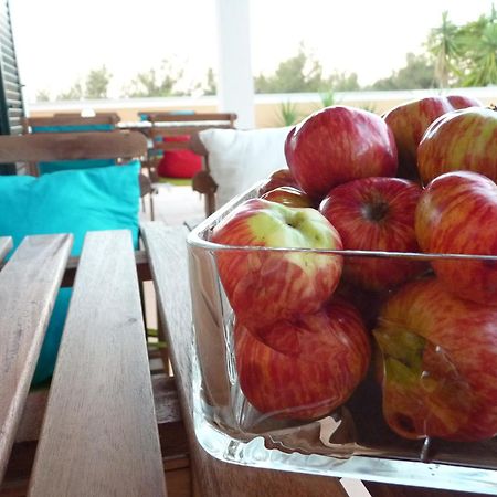 Casal Das Oliveiras Setúbal Dış mekan fotoğraf