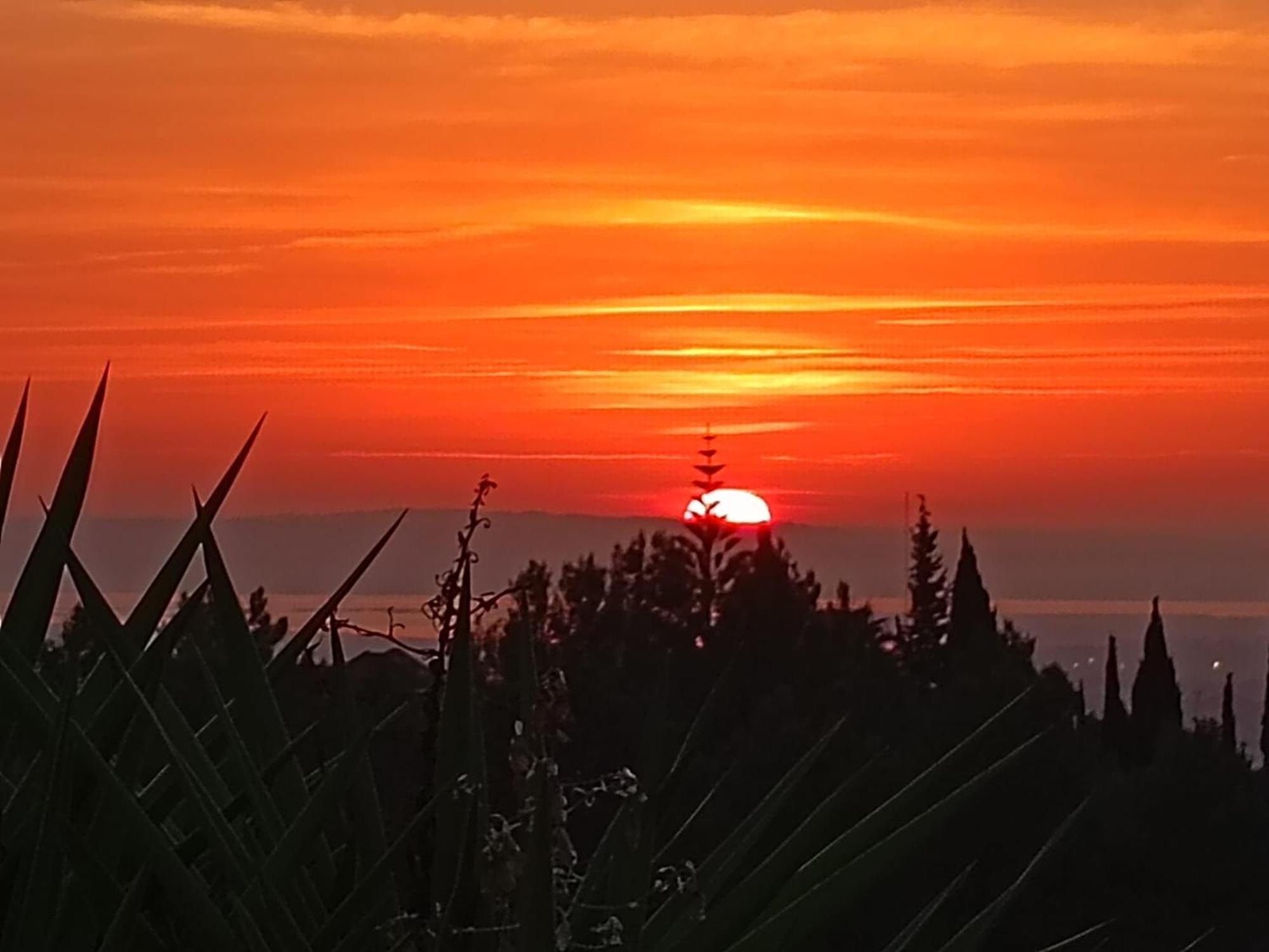 Casal Das Oliveiras Setúbal Dış mekan fotoğraf