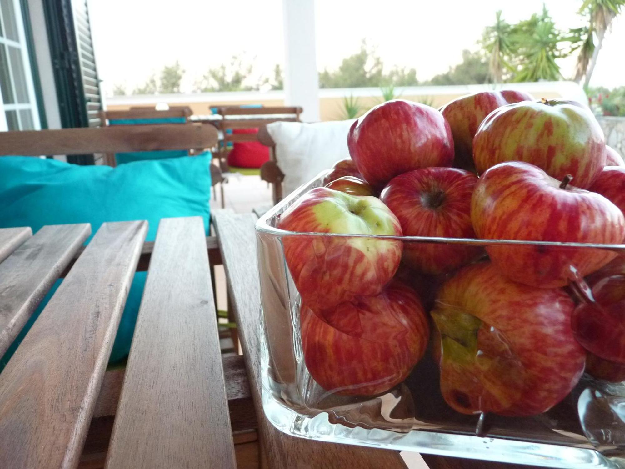 Casal Das Oliveiras Setúbal Dış mekan fotoğraf