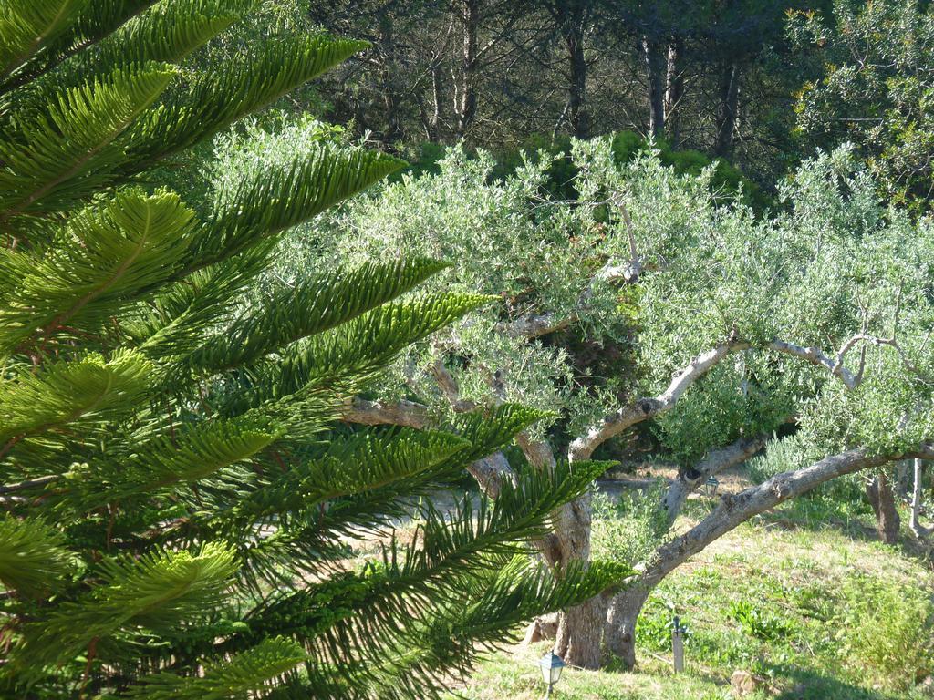 Casal Das Oliveiras Setúbal Dış mekan fotoğraf