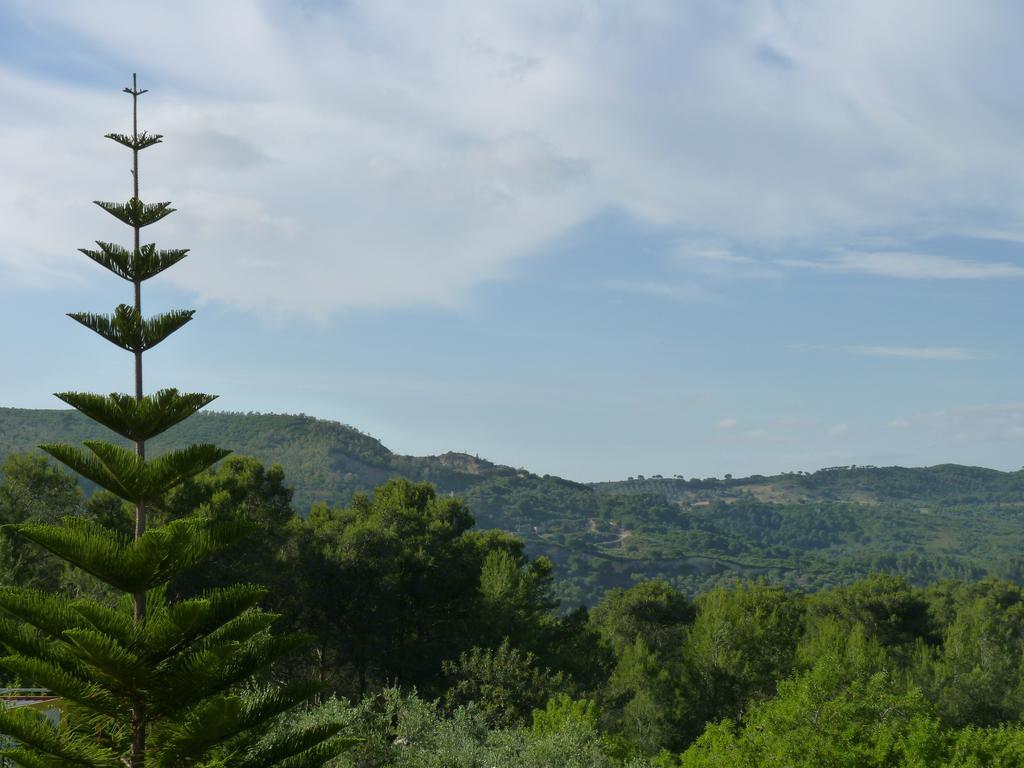 Casal Das Oliveiras Setúbal Dış mekan fotoğraf