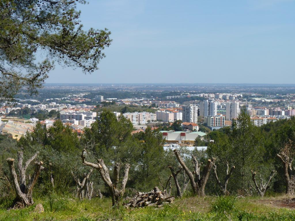 Casal Das Oliveiras Setúbal Dış mekan fotoğraf